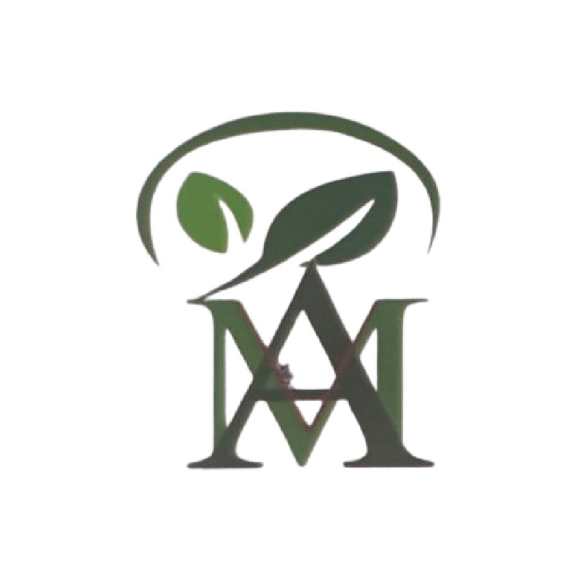 Avishkar Motors